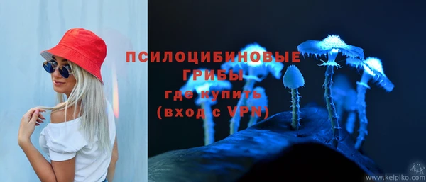 героин Алзамай